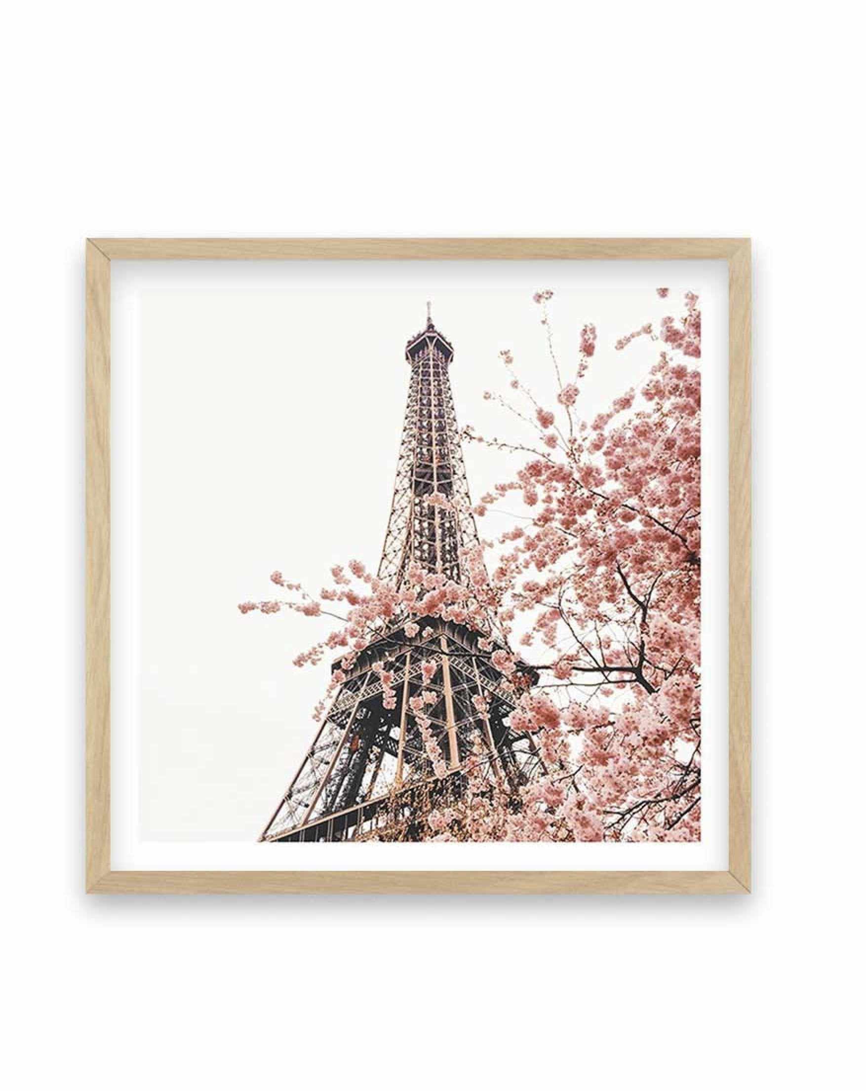 Parisian Blooms II | SQ Art Print-PRINT-Olive et Oriel-Olive et Oriel-70x70 cm | 27.5" x 27.5"-Oak-With White Border-Buy-Australian-Art-Prints-Online-with-Olive-et-Oriel-Your-Artwork-Specialists-Austrailia-Decorate-With-Coastal-Photo-Wall-Art-Prints-From-Our-Beach-House-Artwork-Collection-Fine-Poster-and-Framed-Artwork