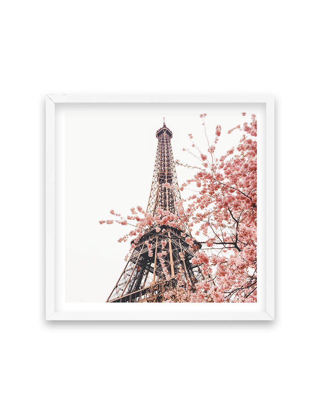 Parisian Blooms II | SQ Art Print-PRINT-Olive et Oriel-Olive et Oriel-70x70 cm | 27.5" x 27.5"-White-With White Border-Buy-Australian-Art-Prints-Online-with-Olive-et-Oriel-Your-Artwork-Specialists-Austrailia-Decorate-With-Coastal-Photo-Wall-Art-Prints-From-Our-Beach-House-Artwork-Collection-Fine-Poster-and-Framed-Artwork