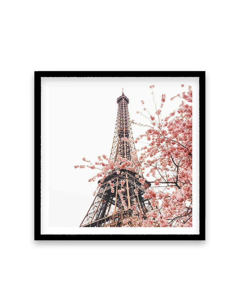 Parisian Blooms II | SQ Art Print-PRINT-Olive et Oriel-Olive et Oriel-70x70 cm | 27.5" x 27.5"-Black-With White Border-Buy-Australian-Art-Prints-Online-with-Olive-et-Oriel-Your-Artwork-Specialists-Austrailia-Decorate-With-Coastal-Photo-Wall-Art-Prints-From-Our-Beach-House-Artwork-Collection-Fine-Poster-and-Framed-Artwork
