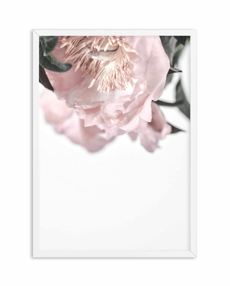 Parisian Peonies Art Print-PRINT-Olive et Oriel-Olive et Oriel-A5 | 5.8" x 8.3" | 14.8 x 21cm-White-With White Border-Buy-Australian-Art-Prints-Online-with-Olive-et-Oriel-Your-Artwork-Specialists-Austrailia-Decorate-With-Coastal-Photo-Wall-Art-Prints-From-Our-Beach-House-Artwork-Collection-Fine-Poster-and-Framed-Artwork