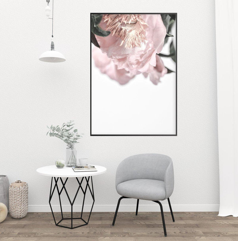 Parisian Peonies Art Print-PRINT-Olive et Oriel-Olive et Oriel-Buy-Australian-Art-Prints-Online-with-Olive-et-Oriel-Your-Artwork-Specialists-Austrailia-Decorate-With-Coastal-Photo-Wall-Art-Prints-From-Our-Beach-House-Artwork-Collection-Fine-Poster-and-Framed-Artwork