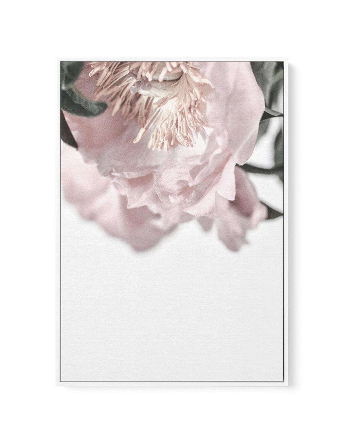 Parisian Peonies | Framed Canvas-CANVAS-You can shop wall art online with Olive et Oriel for everything from abstract art to fun kids wall art. Our beautiful modern art prints and canvas art are available from large canvas prints to wall art paintings and our proudly Australian artwork collection offers only the highest quality framed large wall art and canvas art Australia - You can buy fashion photography prints or Hampton print posters and paintings on canvas from Olive et Oriel and have them