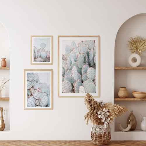 Pastel Cactus III Art Print-PRINT-Olive et Oriel-Olive et Oriel-Buy-Australian-Art-Prints-Online-with-Olive-et-Oriel-Your-Artwork-Specialists-Austrailia-Decorate-With-Coastal-Photo-Wall-Art-Prints-From-Our-Beach-House-Artwork-Collection-Fine-Poster-and-Framed-Artwork
