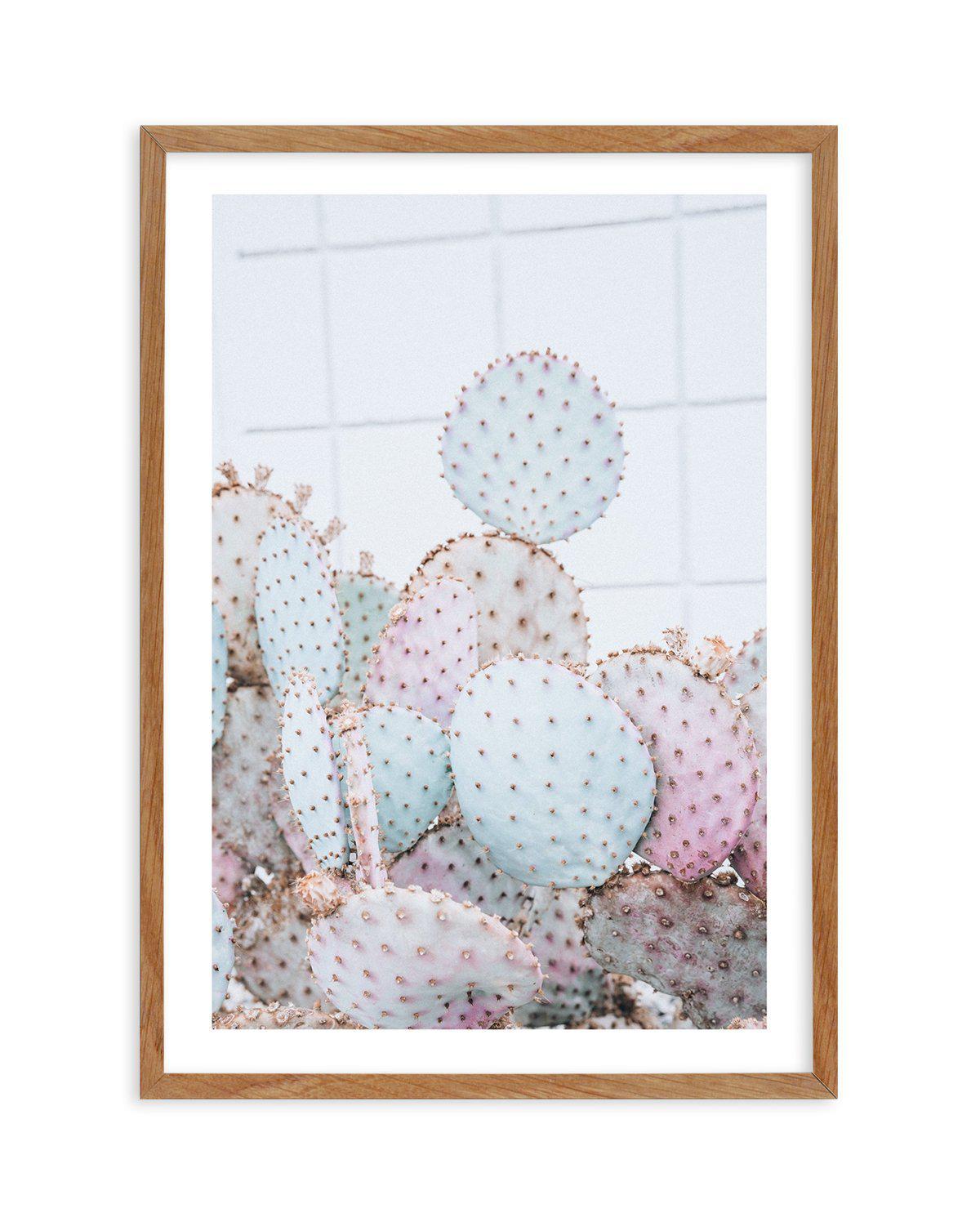 Pastel Cactus I Art Print-PRINT-Olive et Oriel-Olive et Oriel-50x70 cm | 19.6" x 27.5"-Walnut-With White Border-Buy-Australian-Art-Prints-Online-with-Olive-et-Oriel-Your-Artwork-Specialists-Austrailia-Decorate-With-Coastal-Photo-Wall-Art-Prints-From-Our-Beach-House-Artwork-Collection-Fine-Poster-and-Framed-Artwork