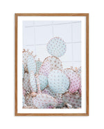 Pastel Cactus I Art Print-PRINT-Olive et Oriel-Olive et Oriel-50x70 cm | 19.6" x 27.5"-Walnut-With White Border-Buy-Australian-Art-Prints-Online-with-Olive-et-Oriel-Your-Artwork-Specialists-Austrailia-Decorate-With-Coastal-Photo-Wall-Art-Prints-From-Our-Beach-House-Artwork-Collection-Fine-Poster-and-Framed-Artwork