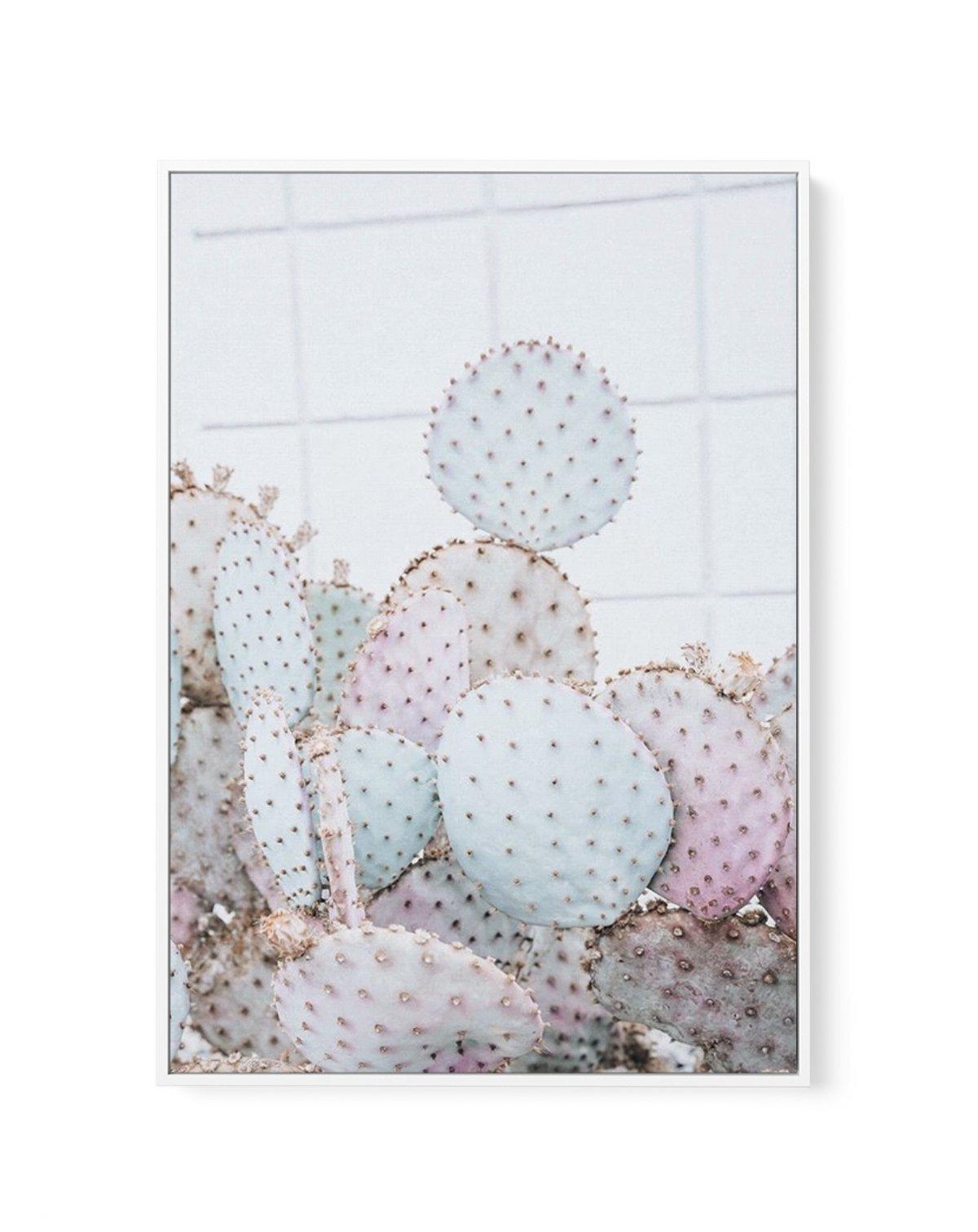 Pastel Cactus I | Framed Canvas-CANVAS-You can shop wall art online with Olive et Oriel for everything from abstract art to fun kids wall art. Our beautiful modern art prints and canvas art are available from large canvas prints to wall art paintings and our proudly Australian artwork collection offers only the highest quality framed large wall art and canvas art Australia - You can buy fashion photography prints or Hampton print posters and paintings on canvas from Olive et Oriel and have them 