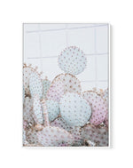 Pastel Cactus I | Framed Canvas-CANVAS-You can shop wall art online with Olive et Oriel for everything from abstract art to fun kids wall art. Our beautiful modern art prints and canvas art are available from large canvas prints to wall art paintings and our proudly Australian artwork collection offers only the highest quality framed large wall art and canvas art Australia - You can buy fashion photography prints or Hampton print posters and paintings on canvas from Olive et Oriel and have them 