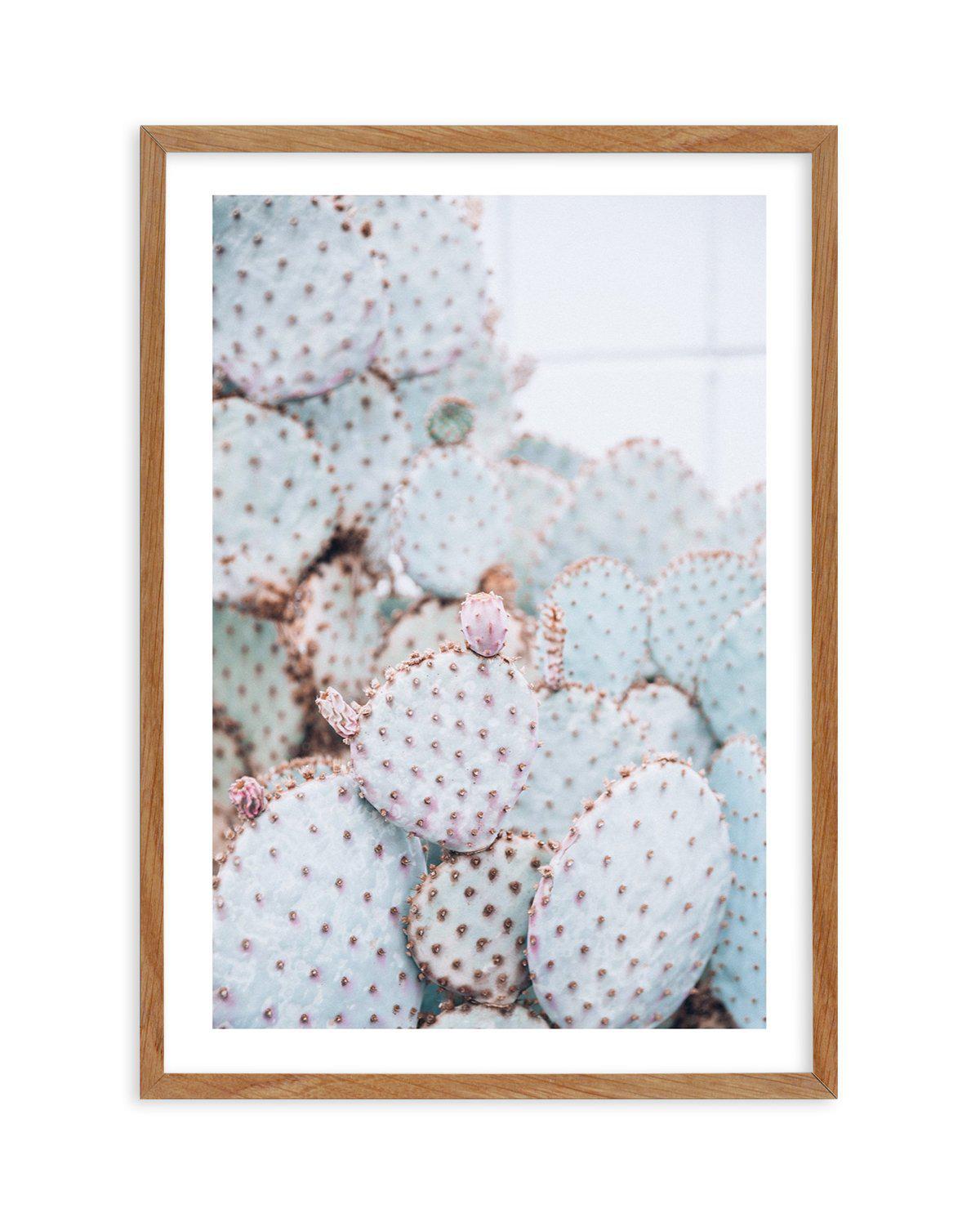 Pastel Cactus II Art Print-PRINT-Olive et Oriel-Olive et Oriel-50x70 cm | 19.6" x 27.5"-Walnut-With White Border-Buy-Australian-Art-Prints-Online-with-Olive-et-Oriel-Your-Artwork-Specialists-Austrailia-Decorate-With-Coastal-Photo-Wall-Art-Prints-From-Our-Beach-House-Artwork-Collection-Fine-Poster-and-Framed-Artwork