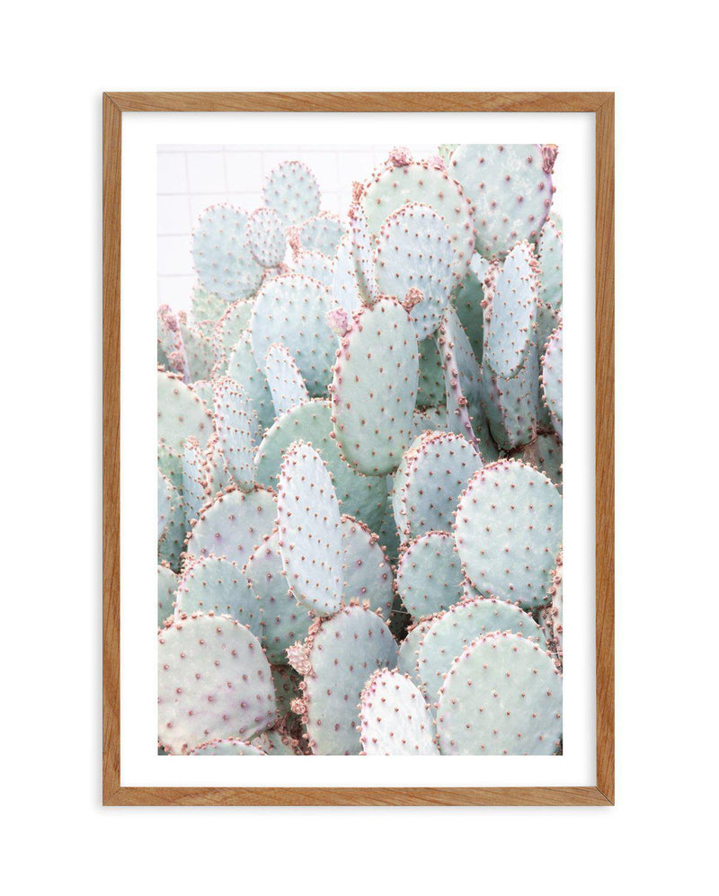 Pastel Cactus III Art Print-PRINT-Olive et Oriel-Olive et Oriel-50x70 cm | 19.6" x 27.5"-Walnut-With White Border-Buy-Australian-Art-Prints-Online-with-Olive-et-Oriel-Your-Artwork-Specialists-Austrailia-Decorate-With-Coastal-Photo-Wall-Art-Prints-From-Our-Beach-House-Artwork-Collection-Fine-Poster-and-Framed-Artwork