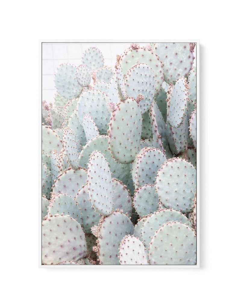 Pastel Cactus III | Framed Canvas-CANVAS-You can shop wall art online with Olive et Oriel for everything from abstract art to fun kids wall art. Our beautiful modern art prints and canvas art are available from large canvas prints to wall art paintings and our proudly Australian artwork collection offers only the highest quality framed large wall art and canvas art Australia - You can buy fashion photography prints or Hampton print posters and paintings on canvas from Olive et Oriel and have the