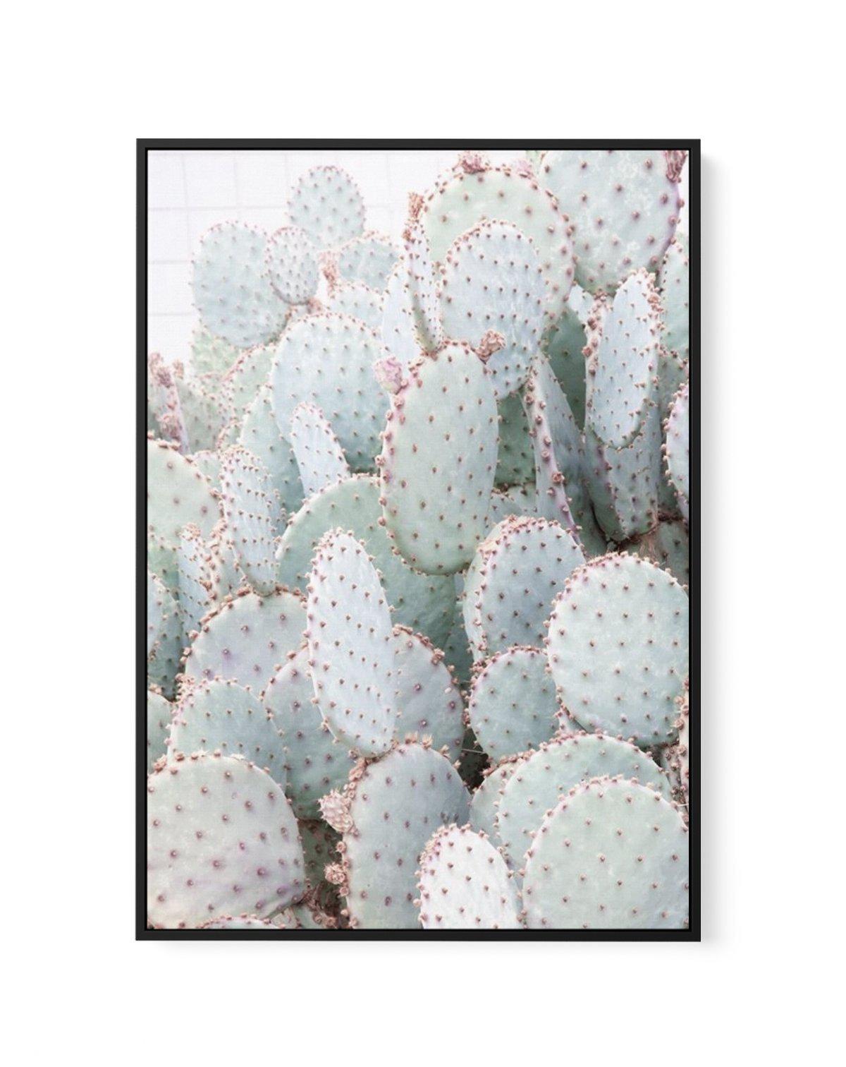 Pastel Cactus III | Framed Canvas-CANVAS-You can shop wall art online with Olive et Oriel for everything from abstract art to fun kids wall art. Our beautiful modern art prints and canvas art are available from large canvas prints to wall art paintings and our proudly Australian artwork collection offers only the highest quality framed large wall art and canvas art Australia - You can buy fashion photography prints or Hampton print posters and paintings on canvas from Olive et Oriel and have the