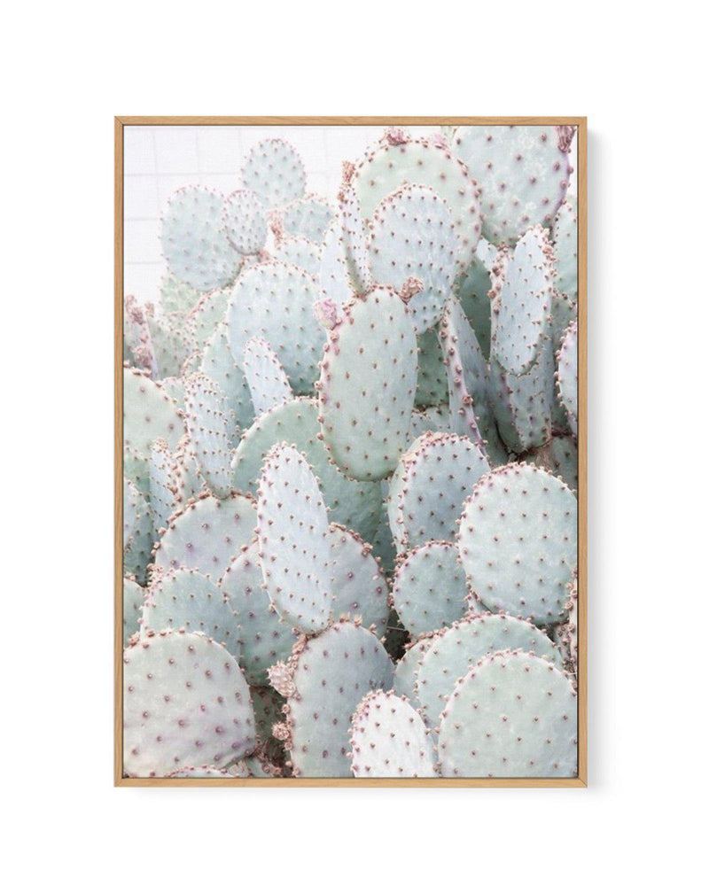 Pastel Cactus III | Framed Canvas-CANVAS-You can shop wall art online with Olive et Oriel for everything from abstract art to fun kids wall art. Our beautiful modern art prints and canvas art are available from large canvas prints to wall art paintings and our proudly Australian artwork collection offers only the highest quality framed large wall art and canvas art Australia - You can buy fashion photography prints or Hampton print posters and paintings on canvas from Olive et Oriel and have the