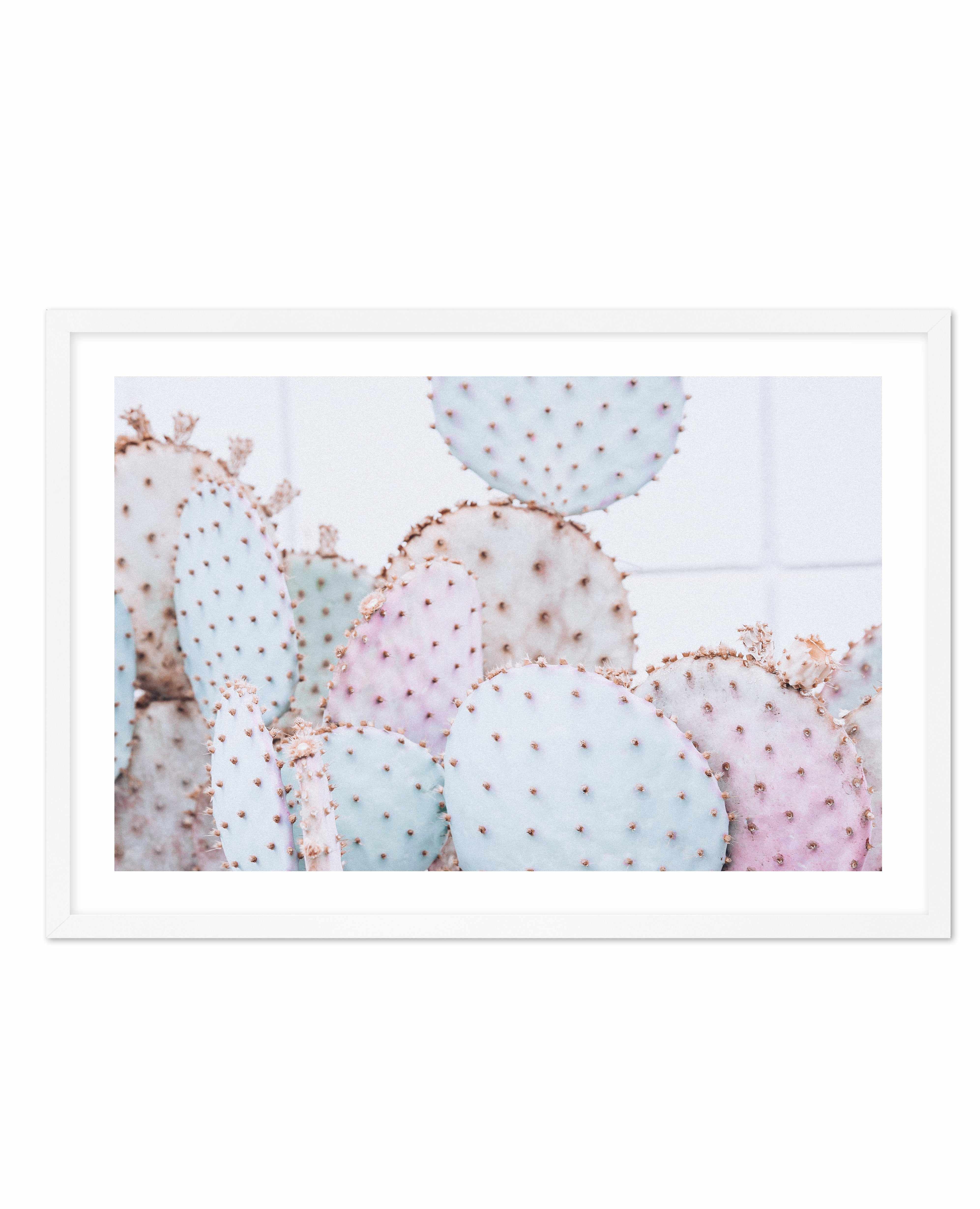 Pastel Cactus | LS Art Print-PRINT-Olive et Oriel-Olive et Oriel-A4 | 8.3" x 11.7" | 21 x 29.7cm-White-With White Border-Buy-Australian-Art-Prints-Online-with-Olive-et-Oriel-Your-Artwork-Specialists-Austrailia-Decorate-With-Coastal-Photo-Wall-Art-Prints-From-Our-Beach-House-Artwork-Collection-Fine-Poster-and-Framed-Artwork