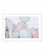Pastel Cactus | LS Art Print-PRINT-Olive et Oriel-Olive et Oriel-A4 | 8.3" x 11.7" | 21 x 29.7cm-White-With White Border-Buy-Australian-Art-Prints-Online-with-Olive-et-Oriel-Your-Artwork-Specialists-Austrailia-Decorate-With-Coastal-Photo-Wall-Art-Prints-From-Our-Beach-House-Artwork-Collection-Fine-Poster-and-Framed-Artwork