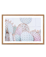 Pastel Cactus | LS Art Print-PRINT-Olive et Oriel-Olive et Oriel-50x70 cm | 19.6" x 27.5"-Walnut-With White Border-Buy-Australian-Art-Prints-Online-with-Olive-et-Oriel-Your-Artwork-Specialists-Austrailia-Decorate-With-Coastal-Photo-Wall-Art-Prints-From-Our-Beach-House-Artwork-Collection-Fine-Poster-and-Framed-Artwork