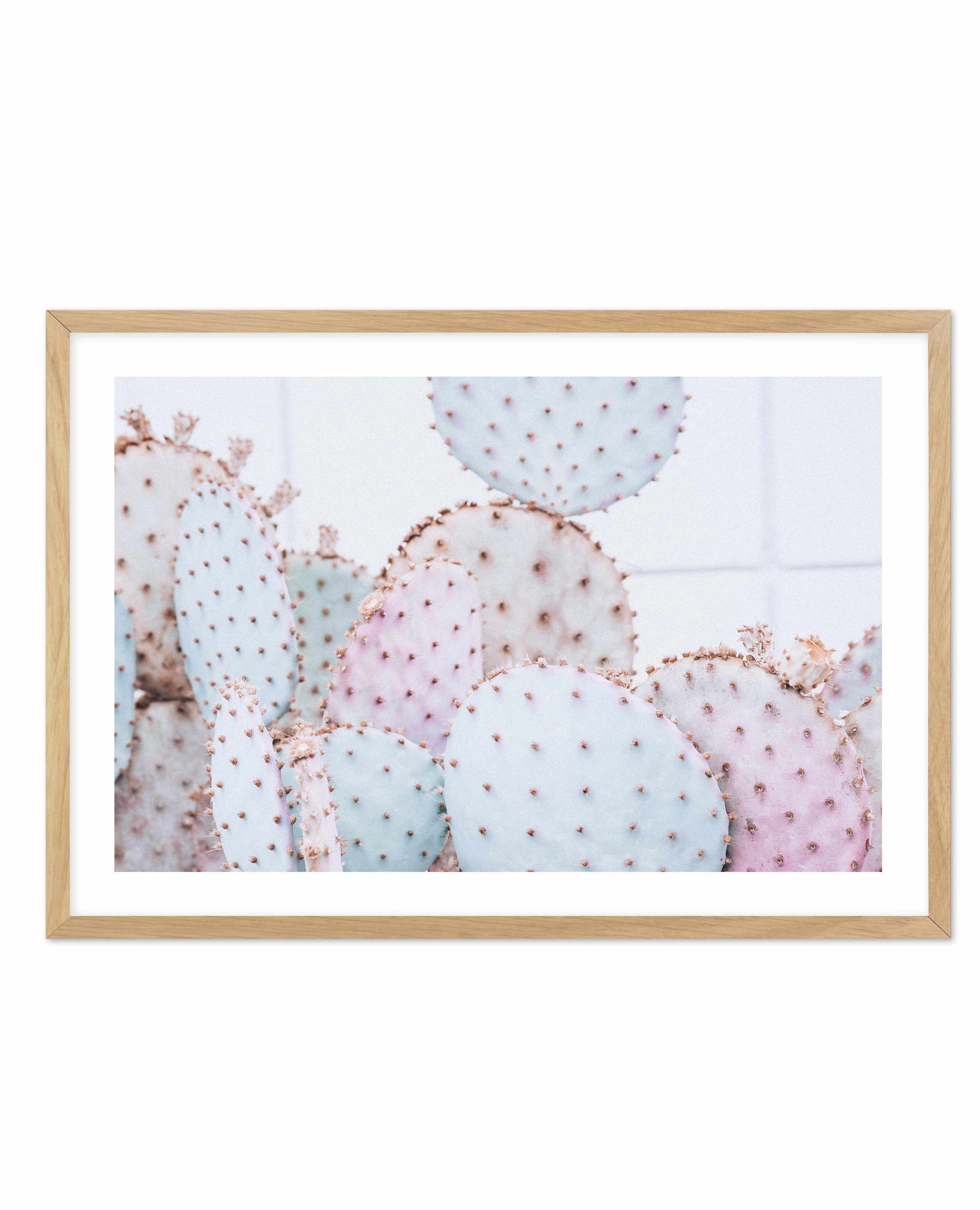 Pastel Cactus | LS Art Print-PRINT-Olive et Oriel-Olive et Oriel-A4 | 8.3" x 11.7" | 21 x 29.7cm-Oak-With White Border-Buy-Australian-Art-Prints-Online-with-Olive-et-Oriel-Your-Artwork-Specialists-Austrailia-Decorate-With-Coastal-Photo-Wall-Art-Prints-From-Our-Beach-House-Artwork-Collection-Fine-Poster-and-Framed-Artwork