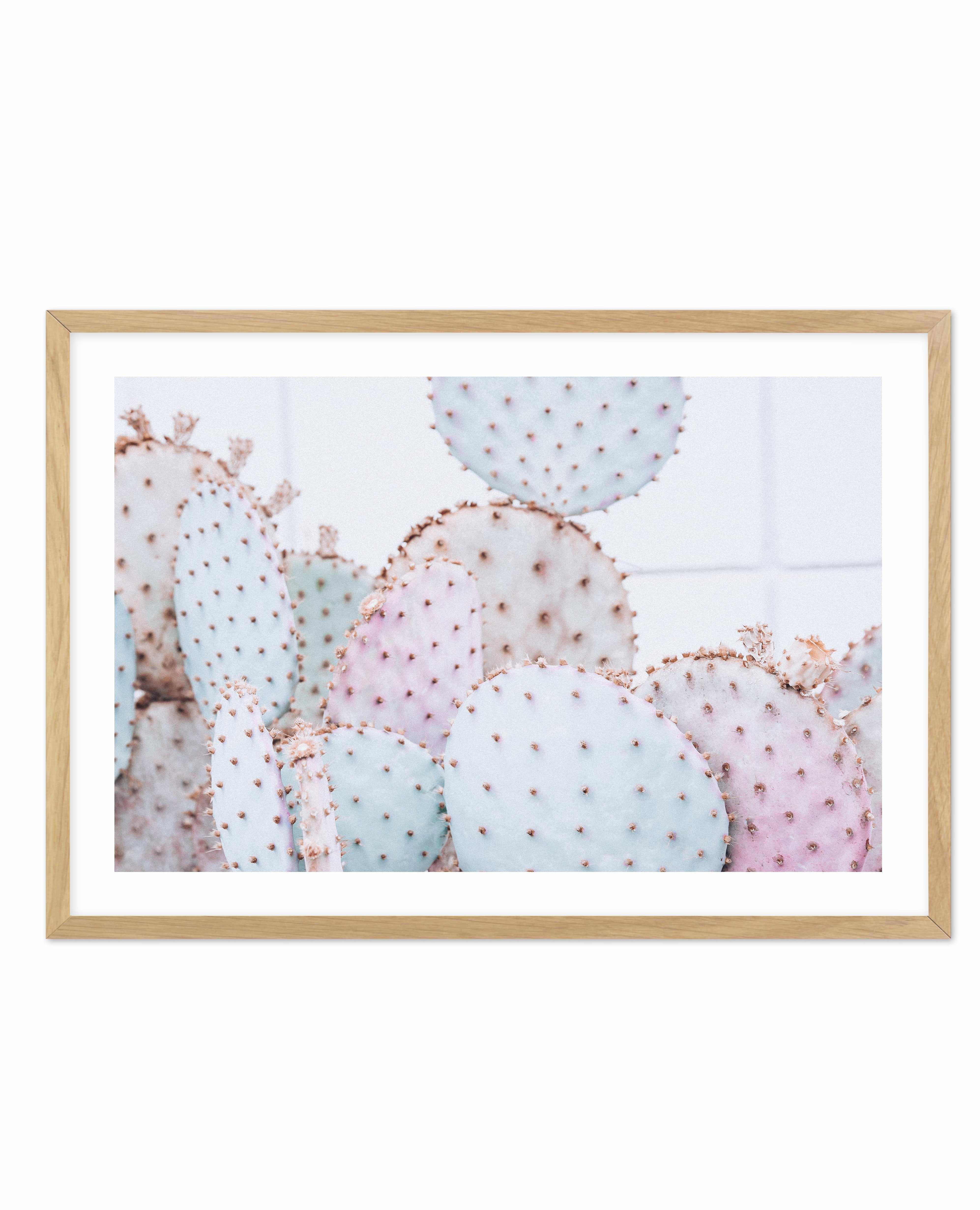 Pastel Cactus | LS Art Print-PRINT-Olive et Oriel-Olive et Oriel-A4 | 8.3" x 11.7" | 21 x 29.7cm-Oak-With White Border-Buy-Australian-Art-Prints-Online-with-Olive-et-Oriel-Your-Artwork-Specialists-Austrailia-Decorate-With-Coastal-Photo-Wall-Art-Prints-From-Our-Beach-House-Artwork-Collection-Fine-Poster-and-Framed-Artwork