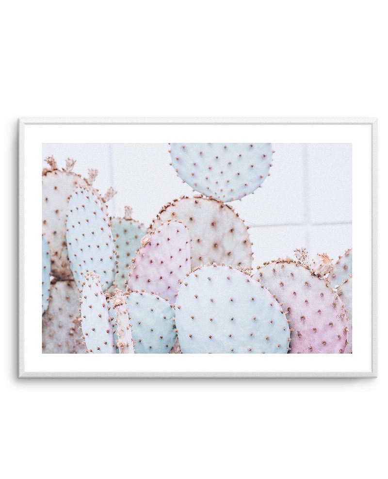 Pastel Cactus | LS Art Print-PRINT-Olive et Oriel-Olive et Oriel-A4 | 8.3" x 11.7" | 21 x 29.7cm-Unframed Art Print-With White Border-Buy-Australian-Art-Prints-Online-with-Olive-et-Oriel-Your-Artwork-Specialists-Austrailia-Decorate-With-Coastal-Photo-Wall-Art-Prints-From-Our-Beach-House-Artwork-Collection-Fine-Poster-and-Framed-Artwork