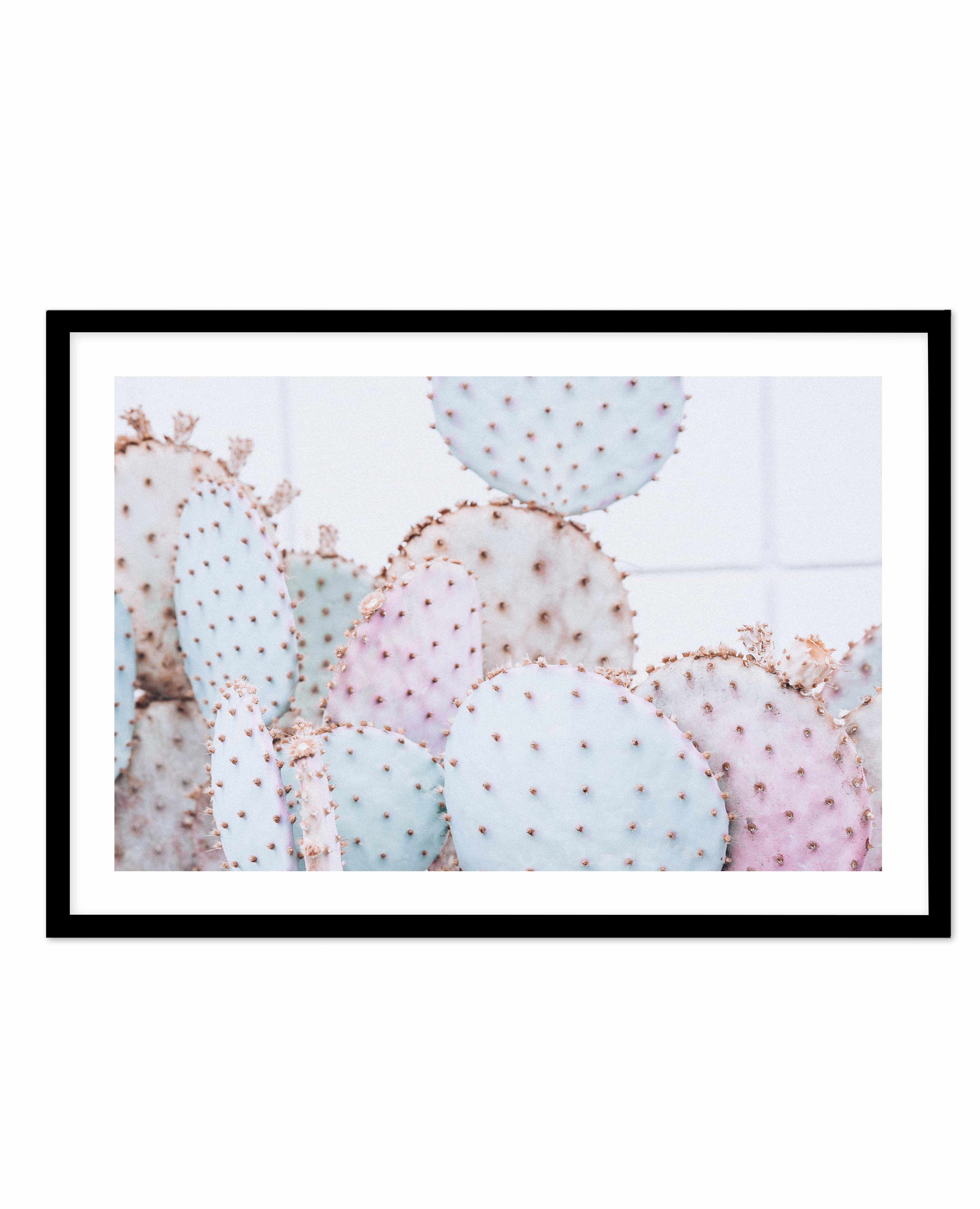 Pastel Cactus | LS Art Print-PRINT-Olive et Oriel-Olive et Oriel-A4 | 8.3" x 11.7" | 21 x 29.7cm-Black-With White Border-Buy-Australian-Art-Prints-Online-with-Olive-et-Oriel-Your-Artwork-Specialists-Austrailia-Decorate-With-Coastal-Photo-Wall-Art-Prints-From-Our-Beach-House-Artwork-Collection-Fine-Poster-and-Framed-Artwork