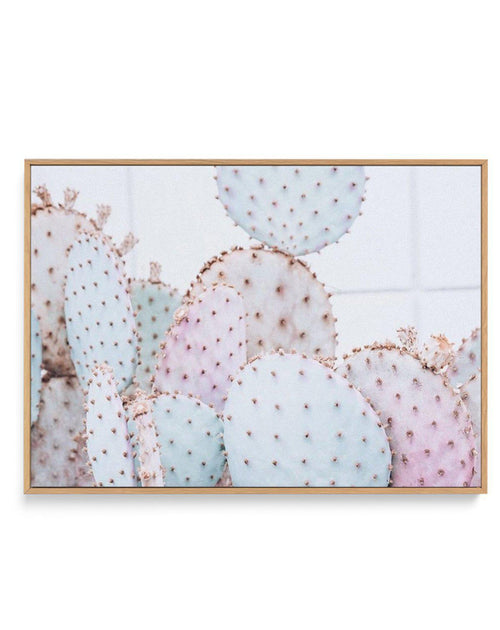 Pastel Cactus | LS | Framed Canvas-CANVAS-You can shop wall art online with Olive et Oriel for everything from abstract art to fun kids wall art. Our beautiful modern art prints and canvas art are available from large canvas prints to wall art paintings and our proudly Australian artwork collection offers only the highest quality framed large wall art and canvas art Australia - You can buy fashion photography prints or Hampton print posters and paintings on canvas from Olive et Oriel and have th