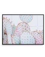 Pastel Cactus | LS | Framed Canvas-CANVAS-You can shop wall art online with Olive et Oriel for everything from abstract art to fun kids wall art. Our beautiful modern art prints and canvas art are available from large canvas prints to wall art paintings and our proudly Australian artwork collection offers only the highest quality framed large wall art and canvas art Australia - You can buy fashion photography prints or Hampton print posters and paintings on canvas from Olive et Oriel and have th