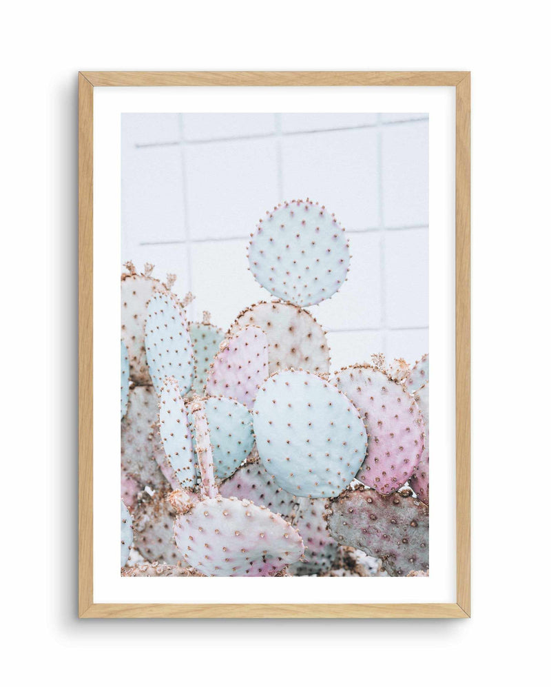Pastel Cactus I Art Print-PRINT-Olive et Oriel-Olive et Oriel-A4 | 8.3" x 11.7" | 21 x 29.7cm-Oak-With White Border-Buy-Australian-Art-Prints-Online-with-Olive-et-Oriel-Your-Artwork-Specialists-Austrailia-Decorate-With-Coastal-Photo-Wall-Art-Prints-From-Our-Beach-House-Artwork-Collection-Fine-Poster-and-Framed-Artwork