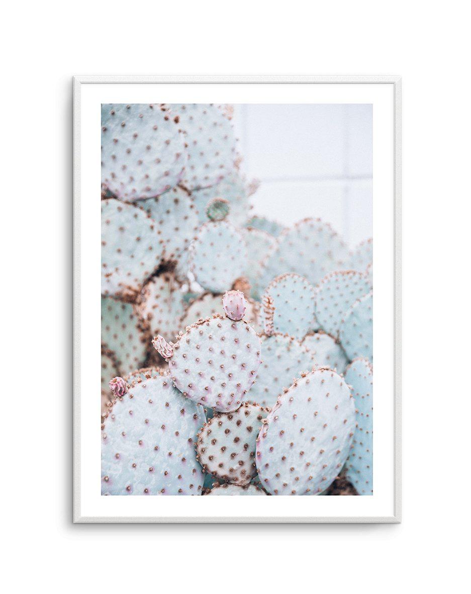 Pastel Cactus II Art Print-PRINT-Olive et Oriel-Olive et Oriel-A4 | 8.3" x 11.7" | 21 x 29.7cm-Unframed Art Print-With White Border-Buy-Australian-Art-Prints-Online-with-Olive-et-Oriel-Your-Artwork-Specialists-Austrailia-Decorate-With-Coastal-Photo-Wall-Art-Prints-From-Our-Beach-House-Artwork-Collection-Fine-Poster-and-Framed-Artwork