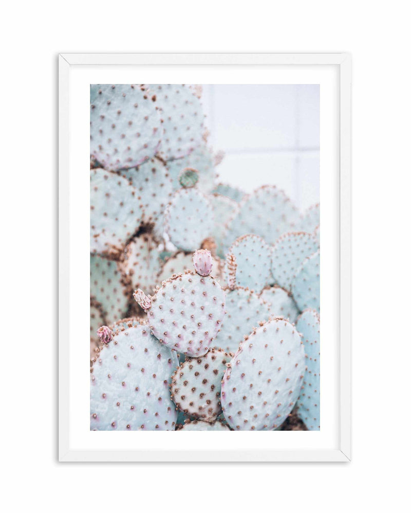 Pastel Cactus II Art Print-PRINT-Olive et Oriel-Olive et Oriel-A4 | 8.3" x 11.7" | 21 x 29.7cm-White-With White Border-Buy-Australian-Art-Prints-Online-with-Olive-et-Oriel-Your-Artwork-Specialists-Austrailia-Decorate-With-Coastal-Photo-Wall-Art-Prints-From-Our-Beach-House-Artwork-Collection-Fine-Poster-and-Framed-Artwork
