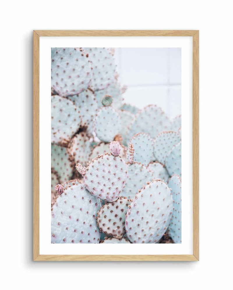 Pastel Cactus II Art Print-PRINT-Olive et Oriel-Olive et Oriel-A4 | 8.3" x 11.7" | 21 x 29.7cm-Oak-With White Border-Buy-Australian-Art-Prints-Online-with-Olive-et-Oriel-Your-Artwork-Specialists-Austrailia-Decorate-With-Coastal-Photo-Wall-Art-Prints-From-Our-Beach-House-Artwork-Collection-Fine-Poster-and-Framed-Artwork