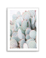 Pastel Cactus III Art Print-PRINT-Olive et Oriel-Olive et Oriel-A4 | 8.3" x 11.7" | 21 x 29.7cm-Unframed Art Print-With White Border-Buy-Australian-Art-Prints-Online-with-Olive-et-Oriel-Your-Artwork-Specialists-Austrailia-Decorate-With-Coastal-Photo-Wall-Art-Prints-From-Our-Beach-House-Artwork-Collection-Fine-Poster-and-Framed-Artwork