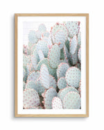 Pastel Cactus III Art Print-PRINT-Olive et Oriel-Olive et Oriel-A4 | 8.3" x 11.7" | 21 x 29.7cm-Oak-With White Border-Buy-Australian-Art-Prints-Online-with-Olive-et-Oriel-Your-Artwork-Specialists-Austrailia-Decorate-With-Coastal-Photo-Wall-Art-Prints-From-Our-Beach-House-Artwork-Collection-Fine-Poster-and-Framed-Artwork