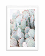 Pastel Cactus III Art Print-PRINT-Olive et Oriel-Olive et Oriel-A4 | 8.3" x 11.7" | 21 x 29.7cm-White-With White Border-Buy-Australian-Art-Prints-Online-with-Olive-et-Oriel-Your-Artwork-Specialists-Austrailia-Decorate-With-Coastal-Photo-Wall-Art-Prints-From-Our-Beach-House-Artwork-Collection-Fine-Poster-and-Framed-Artwork