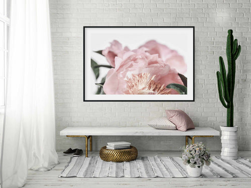 Peonies II Art Print-PRINT-Olive et Oriel-Olive et Oriel-Buy-Australian-Art-Prints-Online-with-Olive-et-Oriel-Your-Artwork-Specialists-Austrailia-Decorate-With-Coastal-Photo-Wall-Art-Prints-From-Our-Beach-House-Artwork-Collection-Fine-Poster-and-Framed-Artwork