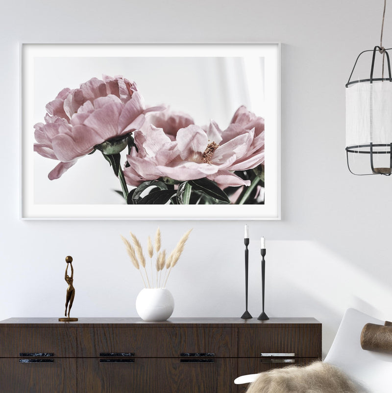 Peonies | LS Art Print-PRINT-Olive et Oriel-Olive et Oriel-Buy-Australian-Art-Prints-Online-with-Olive-et-Oriel-Your-Artwork-Specialists-Austrailia-Decorate-With-Coastal-Photo-Wall-Art-Prints-From-Our-Beach-House-Artwork-Collection-Fine-Poster-and-Framed-Artwork