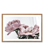 Peonies | LS Art Print-PRINT-Olive et Oriel-Olive et Oriel-50x70 cm | 19.6" x 27.5"-Walnut-With White Border-Buy-Australian-Art-Prints-Online-with-Olive-et-Oriel-Your-Artwork-Specialists-Austrailia-Decorate-With-Coastal-Photo-Wall-Art-Prints-From-Our-Beach-House-Artwork-Collection-Fine-Poster-and-Framed-Artwork