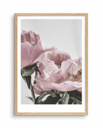 Peony '17 Art Print-PRINT-Olive et Oriel-Olive et Oriel-A5 | 5.8" x 8.3" | 14.8 x 21cm-Oak-With White Border-Buy-Australian-Art-Prints-Online-with-Olive-et-Oriel-Your-Artwork-Specialists-Austrailia-Decorate-With-Coastal-Photo-Wall-Art-Prints-From-Our-Beach-House-Artwork-Collection-Fine-Poster-and-Framed-Artwork
