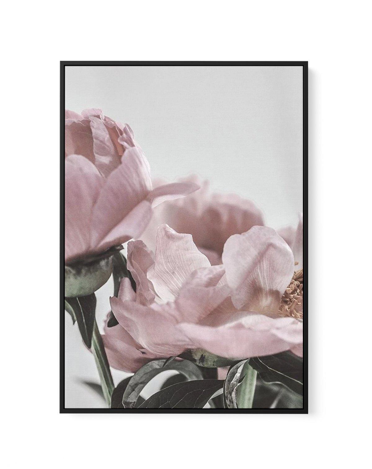 Peony '17 | Framed Canvas-CANVAS-You can shop wall art online with Olive et Oriel for everything from abstract art to fun kids wall art. Our beautiful modern art prints and canvas art are available from large canvas prints to wall art paintings and our proudly Australian artwork collection offers only the highest quality framed large wall art and canvas art Australia - You can buy fashion photography prints or Hampton print posters and paintings on canvas from Olive et Oriel and have them delive