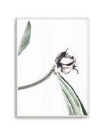 Peony Bud I Art Print-PRINT-Olive et Oriel-Olive et Oriel-A5 | 5.8" x 8.3" | 14.8 x 21cm-Unframed Art Print-With White Border-Buy-Australian-Art-Prints-Online-with-Olive-et-Oriel-Your-Artwork-Specialists-Austrailia-Decorate-With-Coastal-Photo-Wall-Art-Prints-From-Our-Beach-House-Artwork-Collection-Fine-Poster-and-Framed-Artwork