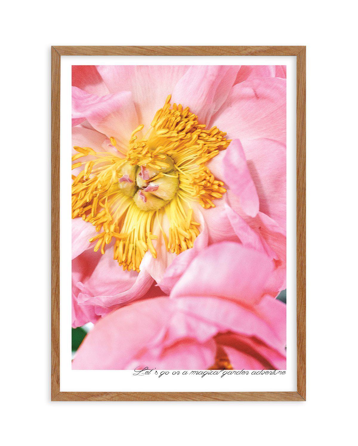 Peony Garden Art Print-PRINT-Olive et Oriel-Olive et Oriel-50x70 cm | 19.6" x 27.5"-Walnut-With White Border-Buy-Australian-Art-Prints-Online-with-Olive-et-Oriel-Your-Artwork-Specialists-Austrailia-Decorate-With-Coastal-Photo-Wall-Art-Prints-From-Our-Beach-House-Artwork-Collection-Fine-Poster-and-Framed-Artwork