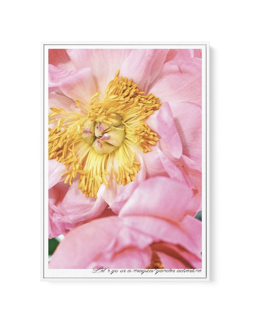 Peony Garden | Framed Canvas-CANVAS-You can shop wall art online with Olive et Oriel for everything from abstract art to fun kids wall art. Our beautiful modern art prints and canvas art are available from large canvas prints to wall art paintings and our proudly Australian artwork collection offers only the highest quality framed large wall art and canvas art Australia - You can buy fashion photography prints or Hampton print posters and paintings on canvas from Olive et Oriel and have them del