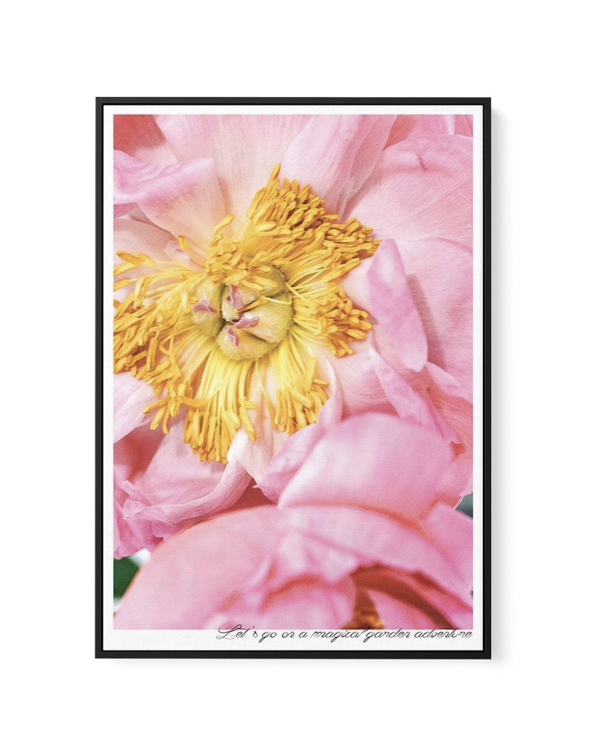 Peony Garden | Framed Canvas-CANVAS-You can shop wall art online with Olive et Oriel for everything from abstract art to fun kids wall art. Our beautiful modern art prints and canvas art are available from large canvas prints to wall art paintings and our proudly Australian artwork collection offers only the highest quality framed large wall art and canvas art Australia - You can buy fashion photography prints or Hampton print posters and paintings on canvas from Olive et Oriel and have them del