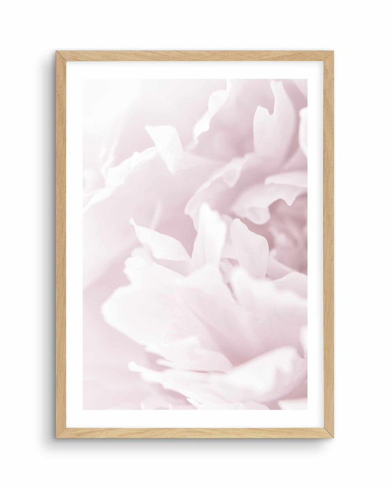 Peony In Bloom I Art Print-PRINT-Olive et Oriel-Olive et Oriel-A4 | 8.3" x 11.7" | 21 x 29.7cm-Oak-With White Border-Buy-Australian-Art-Prints-Online-with-Olive-et-Oriel-Your-Artwork-Specialists-Austrailia-Decorate-With-Coastal-Photo-Wall-Art-Prints-From-Our-Beach-House-Artwork-Collection-Fine-Poster-and-Framed-Artwork