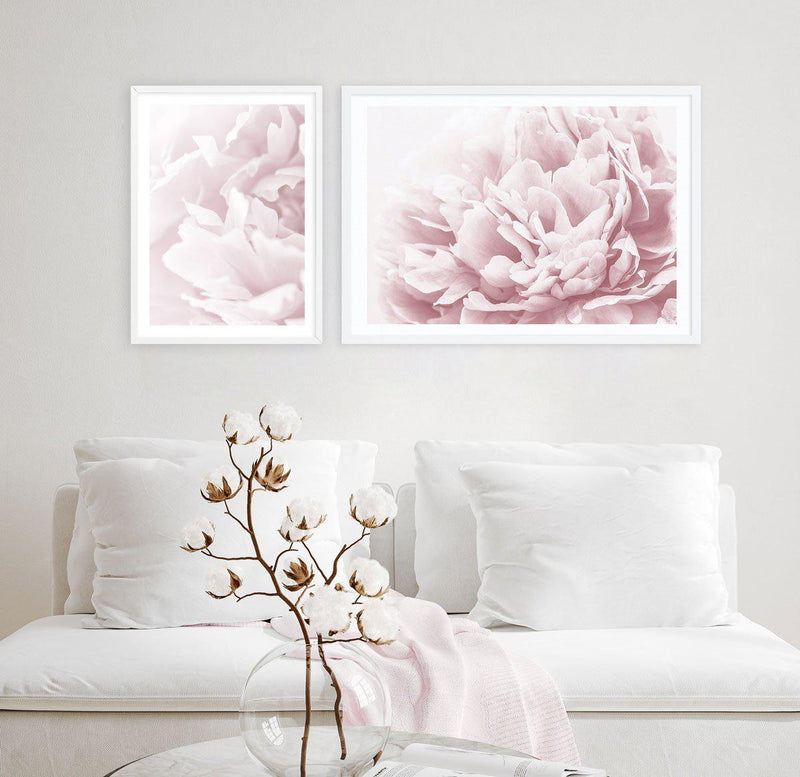 Peony In Bloom I Art Print-PRINT-Olive et Oriel-Olive et Oriel-Buy-Australian-Art-Prints-Online-with-Olive-et-Oriel-Your-Artwork-Specialists-Austrailia-Decorate-With-Coastal-Photo-Wall-Art-Prints-From-Our-Beach-House-Artwork-Collection-Fine-Poster-and-Framed-Artwork