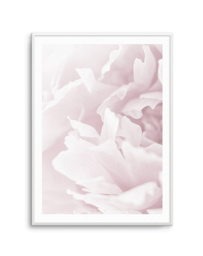Peony In Bloom I Art Print-PRINT-Olive et Oriel-Olive et Oriel-A4 | 8.3" x 11.7" | 21 x 29.7cm-Unframed Art Print-With White Border-Buy-Australian-Art-Prints-Online-with-Olive-et-Oriel-Your-Artwork-Specialists-Austrailia-Decorate-With-Coastal-Photo-Wall-Art-Prints-From-Our-Beach-House-Artwork-Collection-Fine-Poster-and-Framed-Artwork