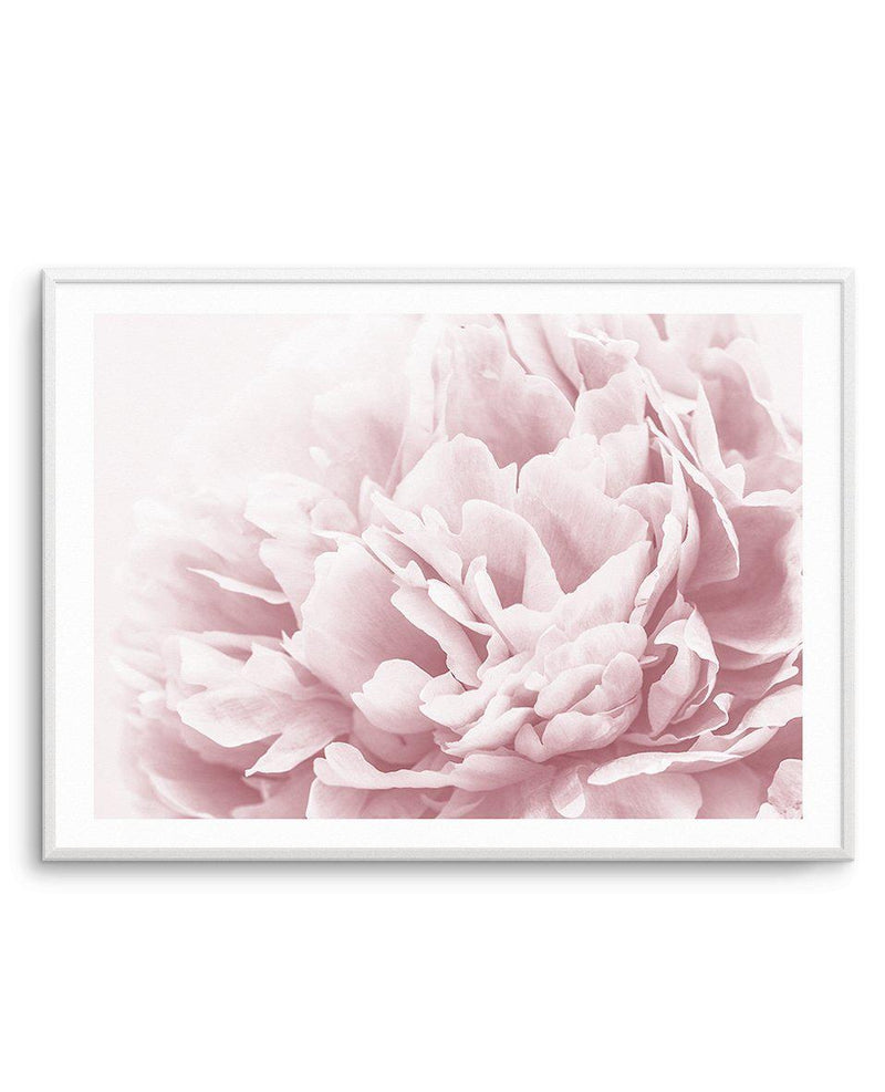 Pink Peony Poster, Floral Photographic Fine Art