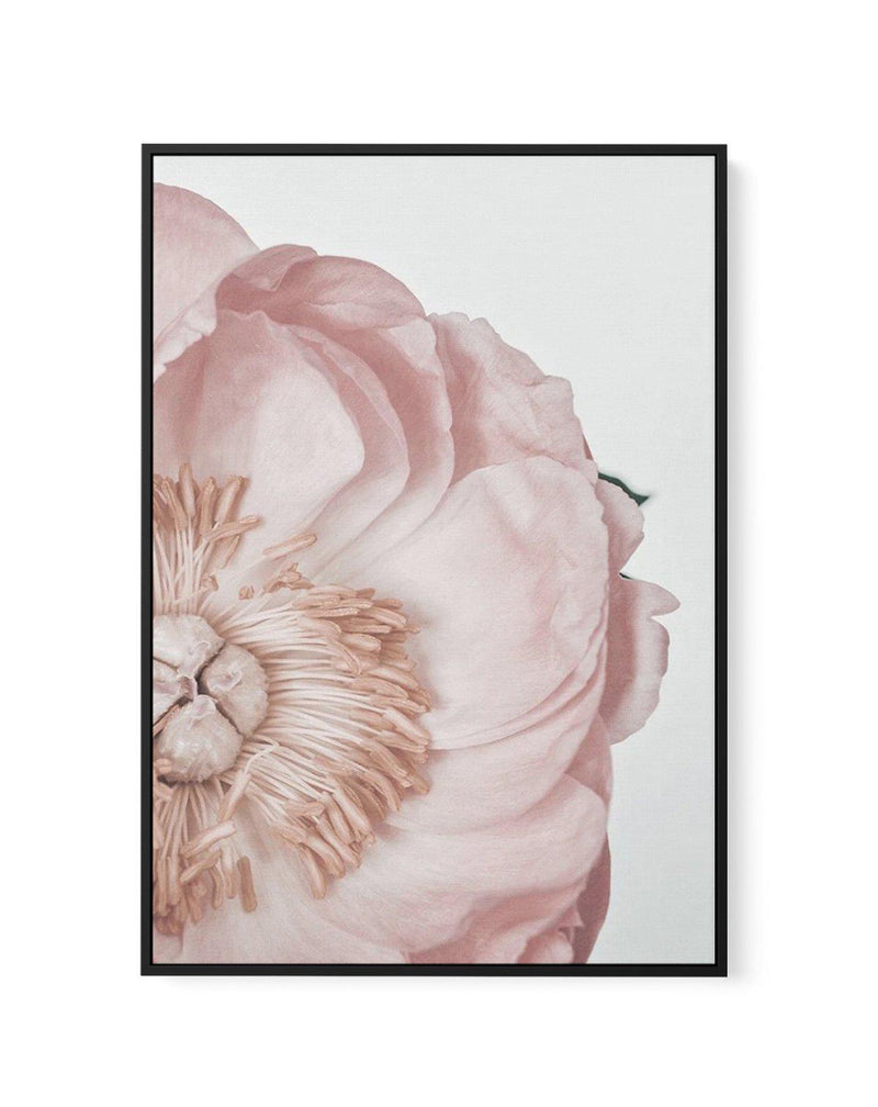Peony Parfait I | Framed Canvas-CANVAS-You can shop wall art online with Olive et Oriel for everything from abstract art to fun kids wall art. Our beautiful modern art prints and canvas art are available from large canvas prints to wall art paintings and our proudly Australian artwork collection offers only the highest quality framed large wall art and canvas art Australia - You can buy fashion photography prints or Hampton print posters and paintings on canvas from Olive et Oriel and have them 