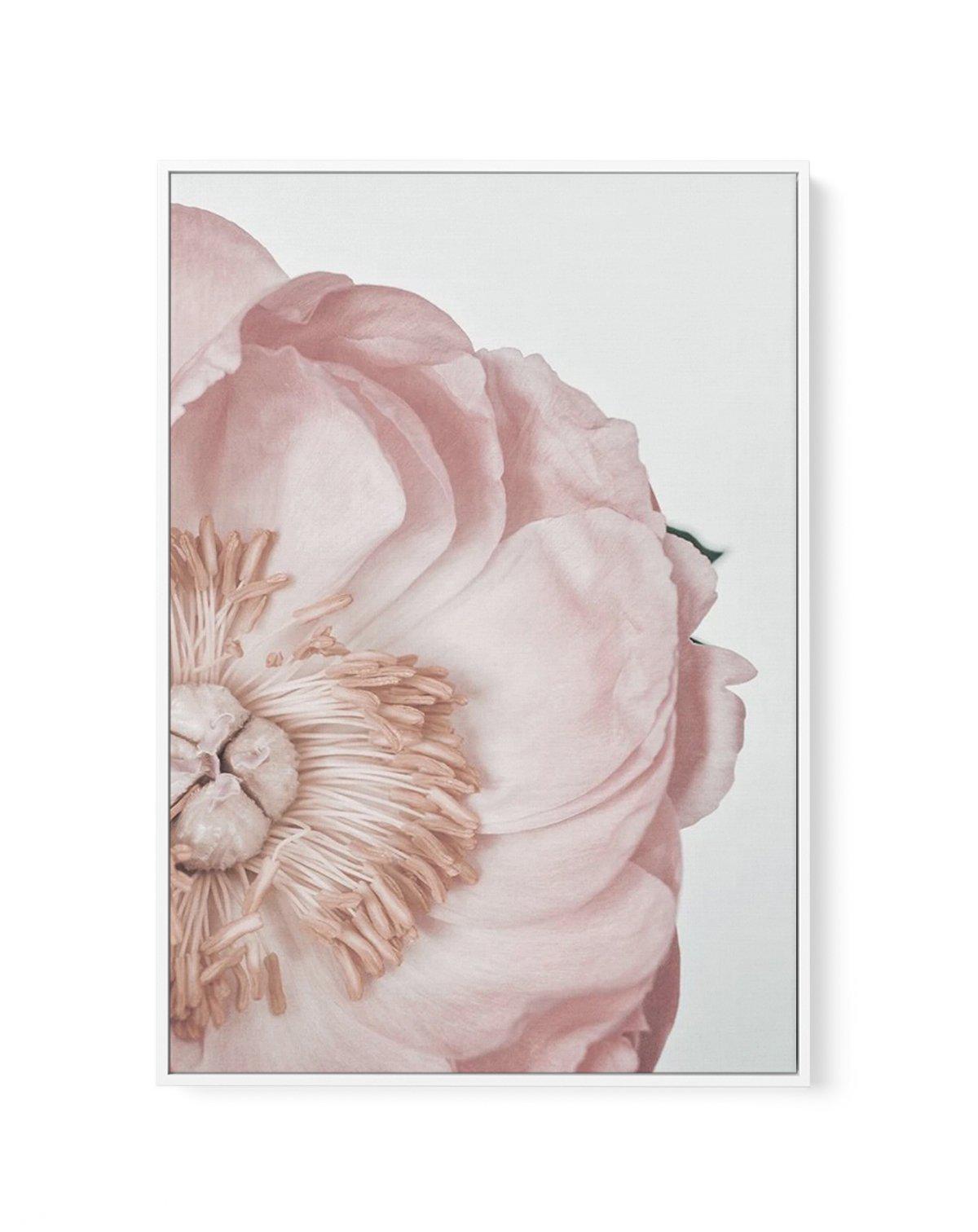 Peony Parfait I | Framed Canvas-CANVAS-You can shop wall art online with Olive et Oriel for everything from abstract art to fun kids wall art. Our beautiful modern art prints and canvas art are available from large canvas prints to wall art paintings and our proudly Australian artwork collection offers only the highest quality framed large wall art and canvas art Australia - You can buy fashion photography prints or Hampton print posters and paintings on canvas from Olive et Oriel and have them 