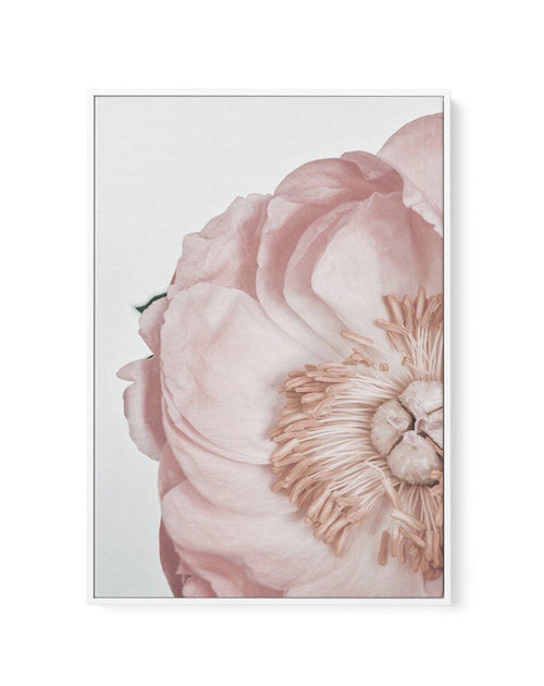 Peony Parfait II | Framed Canvas-CANVAS-You can shop wall art online with Olive et Oriel for everything from abstract art to fun kids wall art. Our beautiful modern art prints and canvas art are available from large canvas prints to wall art paintings and our proudly Australian artwork collection offers only the highest quality framed large wall art and canvas art Australia - You can buy fashion photography prints or Hampton print posters and paintings on canvas from Olive et Oriel and have them