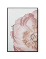 Peony Parfait II | Framed Canvas-CANVAS-You can shop wall art online with Olive et Oriel for everything from abstract art to fun kids wall art. Our beautiful modern art prints and canvas art are available from large canvas prints to wall art paintings and our proudly Australian artwork collection offers only the highest quality framed large wall art and canvas art Australia - You can buy fashion photography prints or Hampton print posters and paintings on canvas from Olive et Oriel and have them