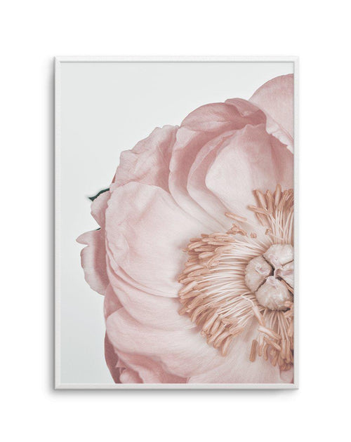 Peony Parfait II Art Print-PRINT-Olive et Oriel-Olive et Oriel-A5 | 5.8" x 8.3" | 14.8 x 21cm-Unframed Art Print-With White Border-Buy-Australian-Art-Prints-Online-with-Olive-et-Oriel-Your-Artwork-Specialists-Austrailia-Decorate-With-Coastal-Photo-Wall-Art-Prints-From-Our-Beach-House-Artwork-Collection-Fine-Poster-and-Framed-Artwork